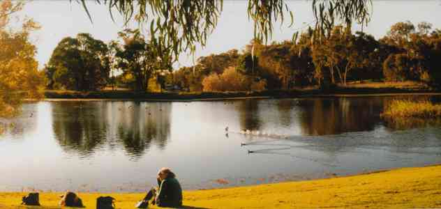 Young Chinese Gardens